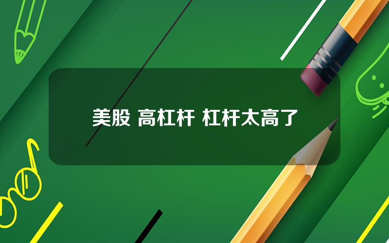 美股 高杠杆 杠杆太高了